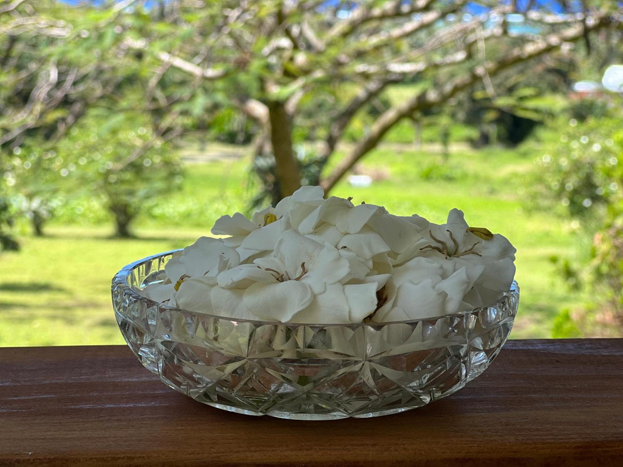 ラロトンガ島 Avocado Retreatヴィラ エクステリア 写真